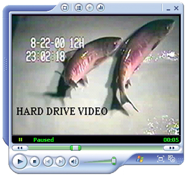 Media Player Twin Chum