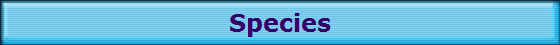 Species