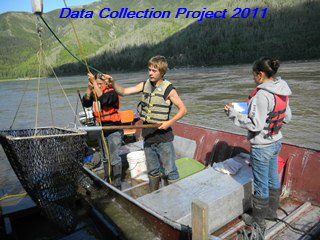 2011 weigh king