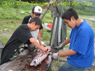 Data Collection08