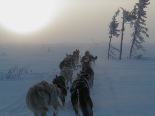 14 mile wind storm Alaska