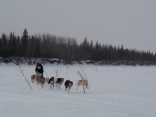 Dog racing