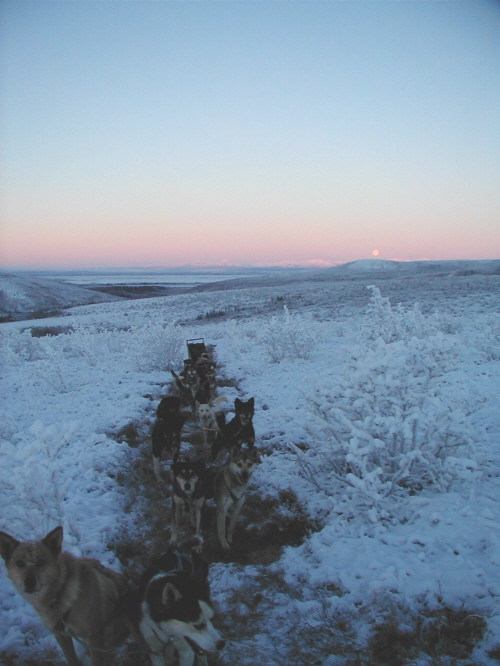 Early trail break, no snow