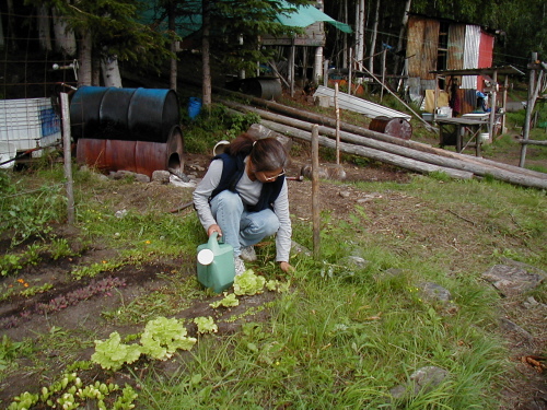 Fish camp garden maiden