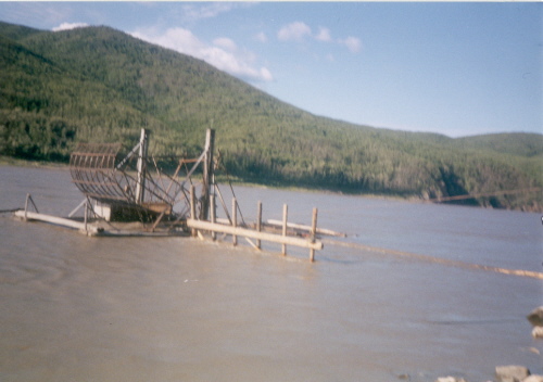 Fish wheel 1st