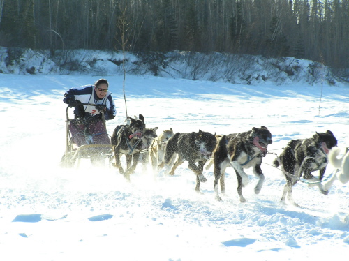 Race on home stretch