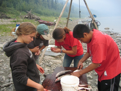 Student and whitefish genetics