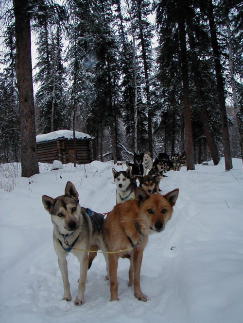 Team leaving  trap cabin 