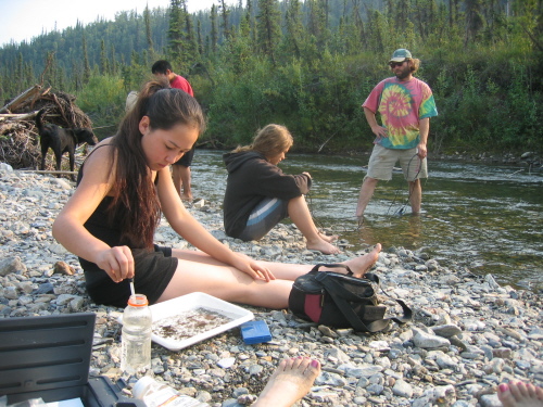 Water sampling at Bear creek