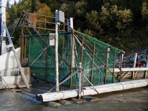 Wheel basket and transmitter