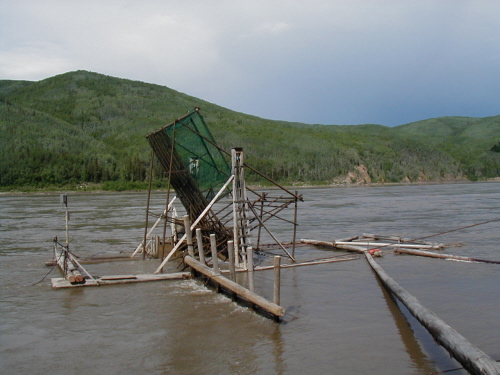 Wheel from shore