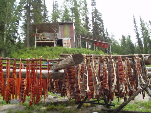 beach fish rack