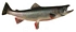 dolly varden t