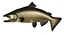 king salmon t04